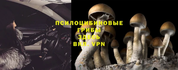 метадон Алзамай