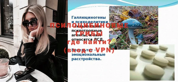 молекула духа Няндома