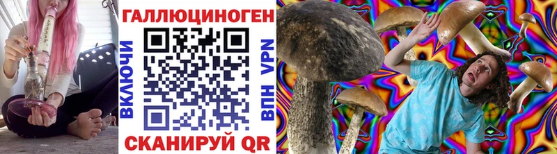 закладки  Островной  blacksprut ссылка  Псилоцибиновые грибы мицелий 